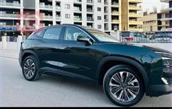 جيتور داشينج